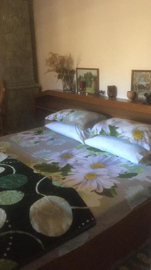 Vila Licurici Caciulata Zewnętrze zdjęcie